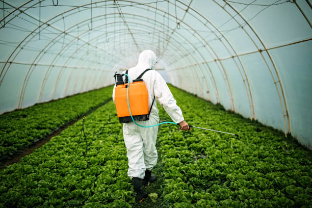 Best Pest Control Near Me  in Fresno, CA