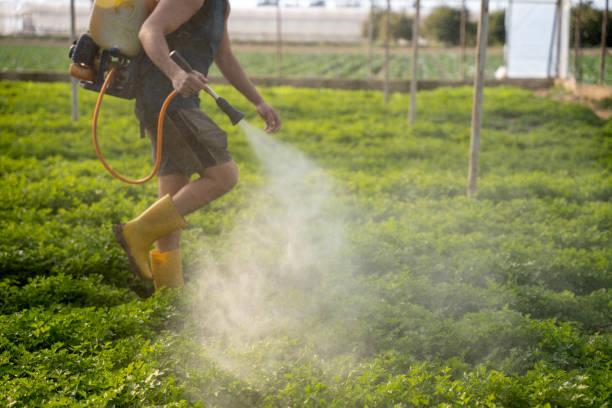  Fresno, CA Pest Control Pros