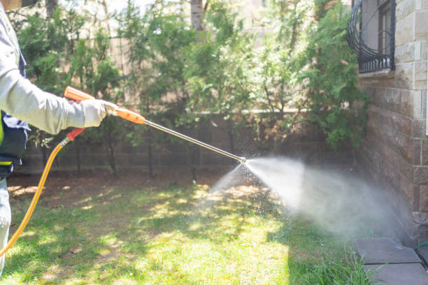 Best Insect Control  in Fresno, CA