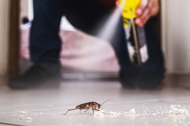 Best Residential Pest Control  in Fresno, CA